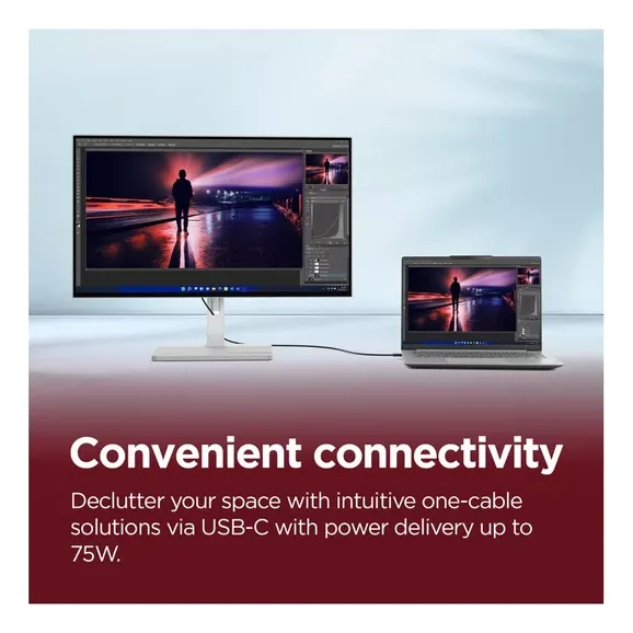 Lenovo L24D-4C Monitor