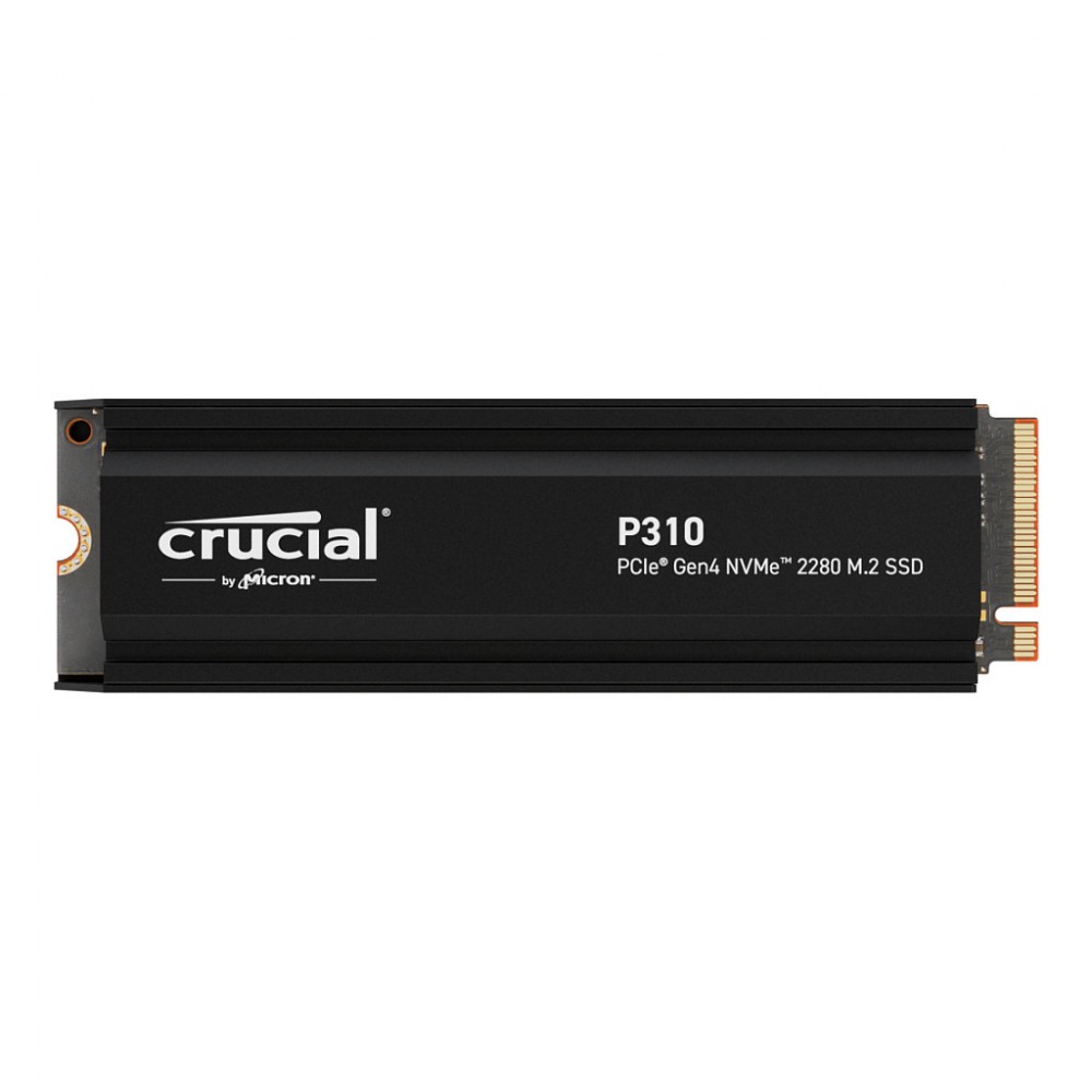 Crucial P310