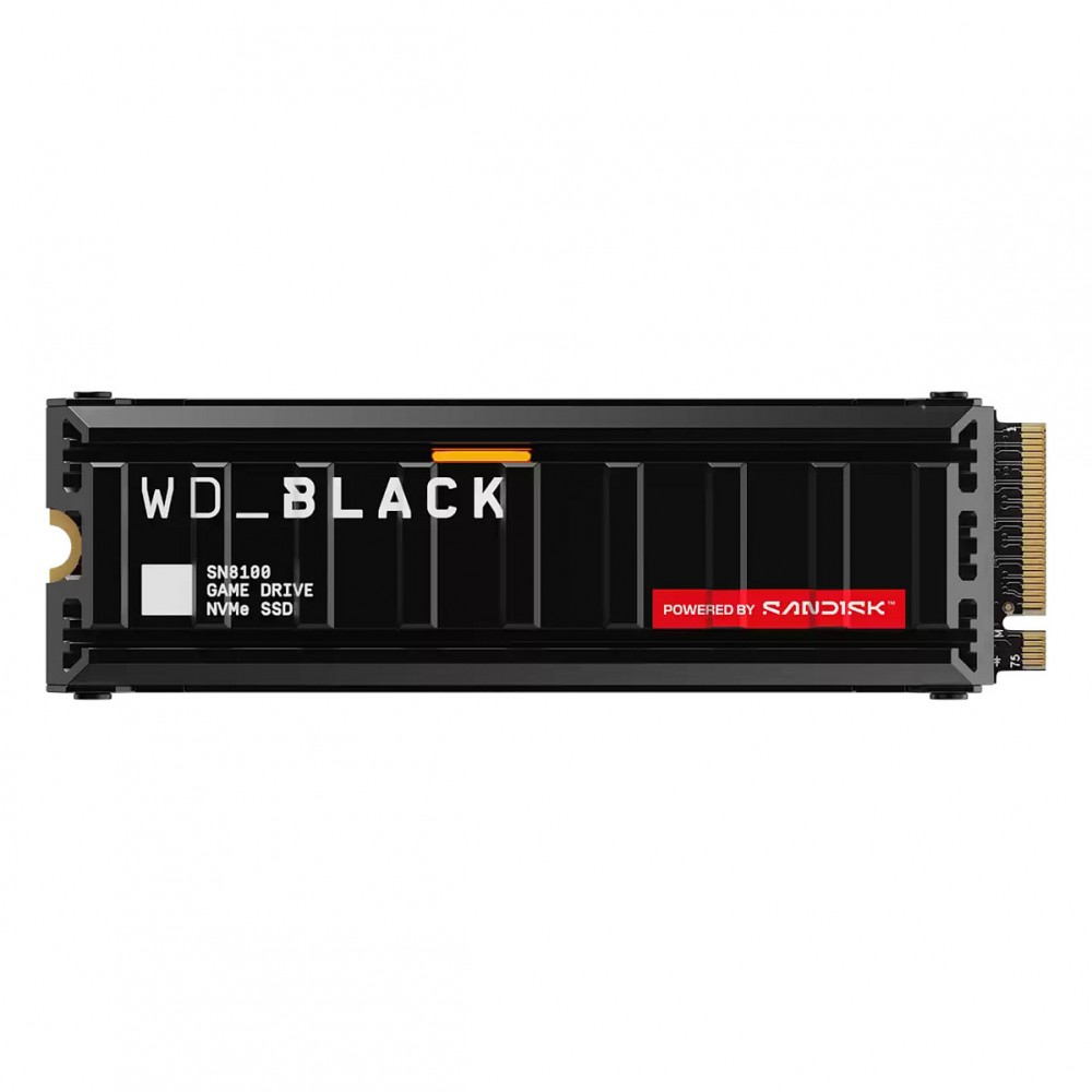 Western Digital Black SN8100