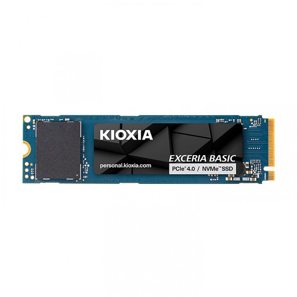 Kioxia LSF10Z001TG8 internal solid state drive