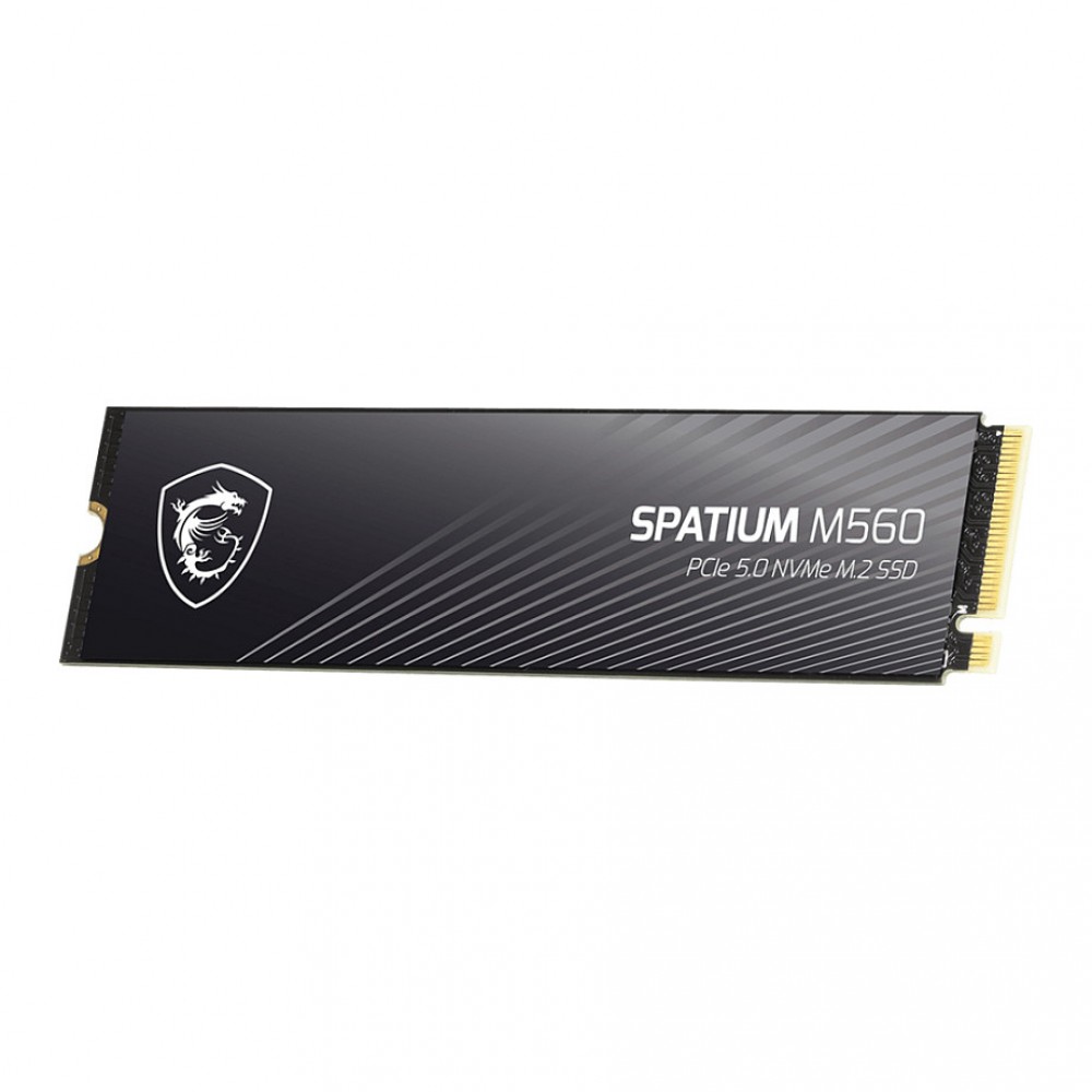 MSI Spatium M560 PCIE 5.0 NVME M.2