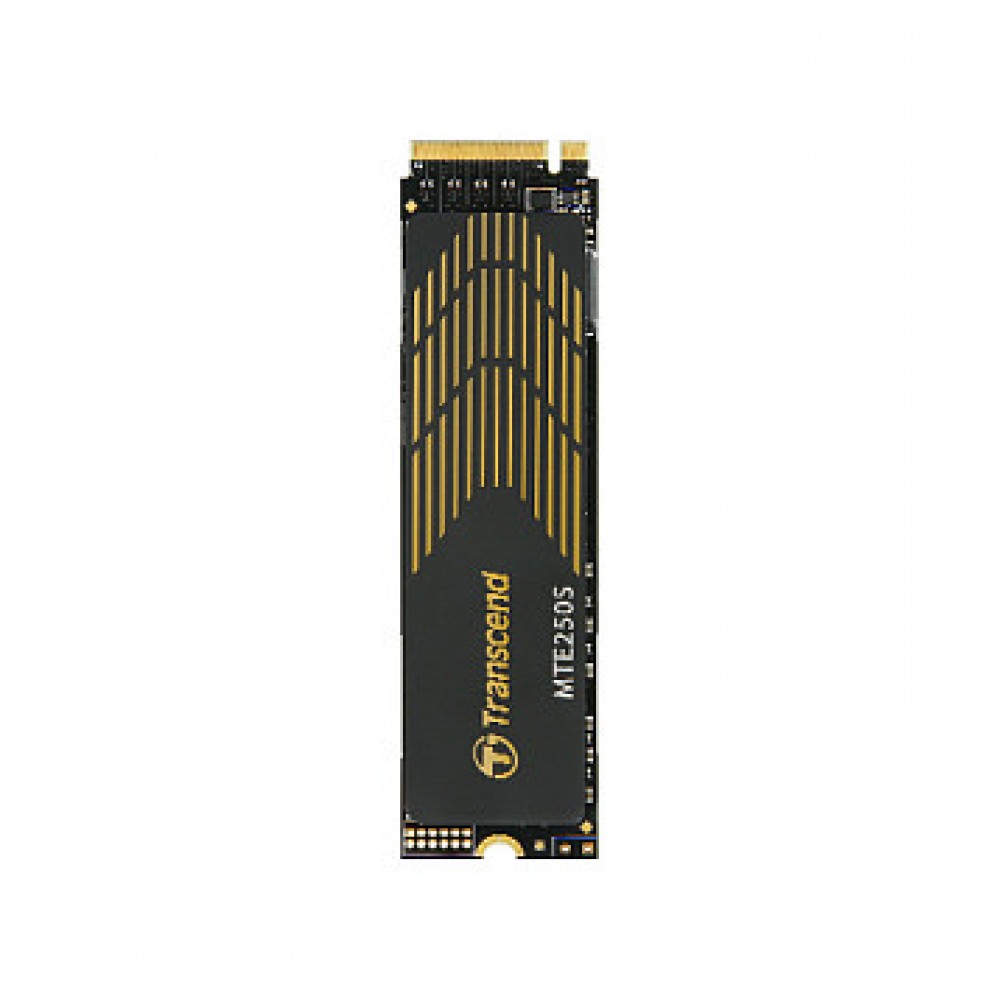Transcend 250S