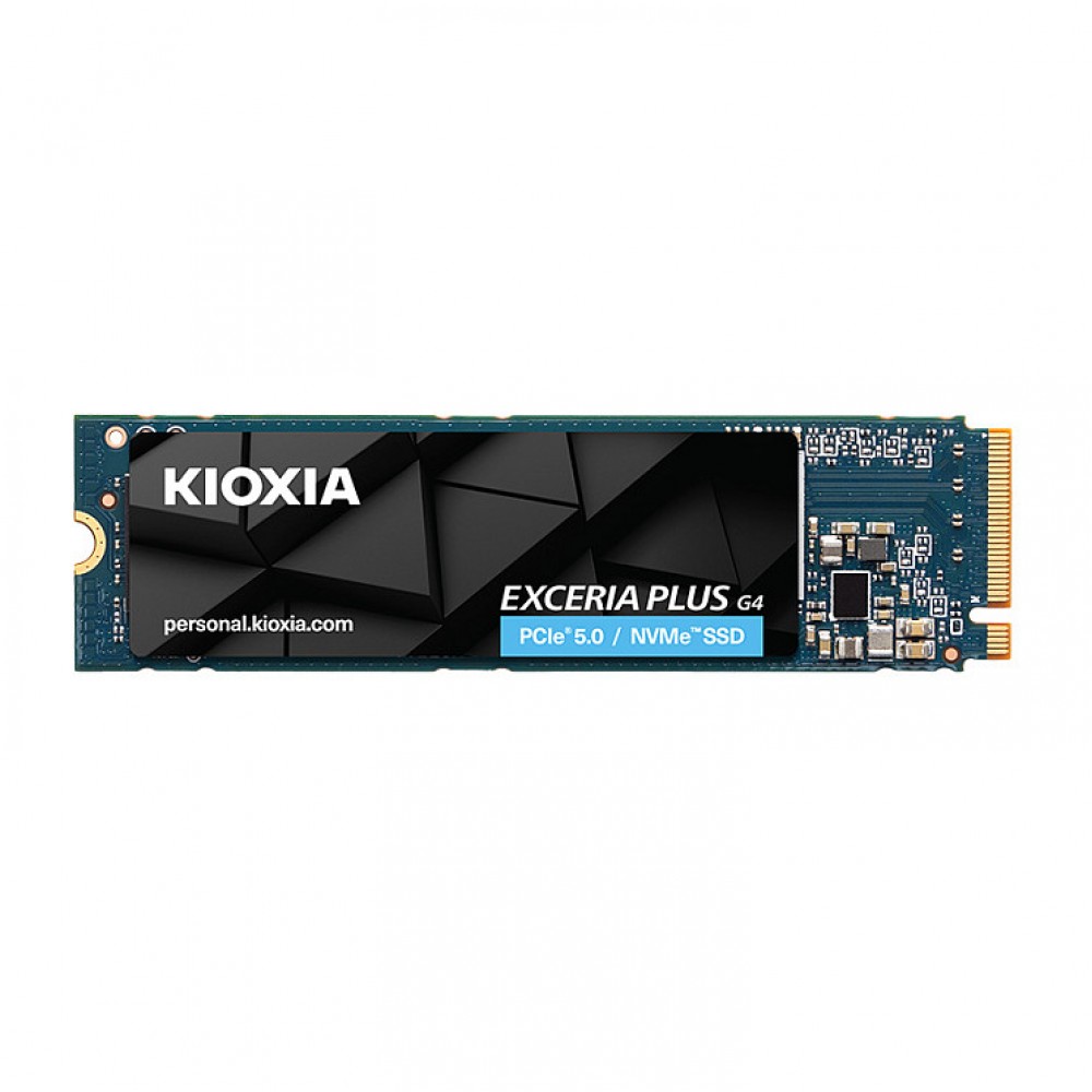 Kioxia LVD10Z001TG8 internal solid state drive