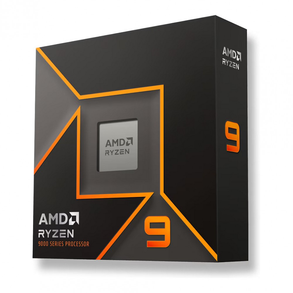 AMD Ryzen 9 9900X processor