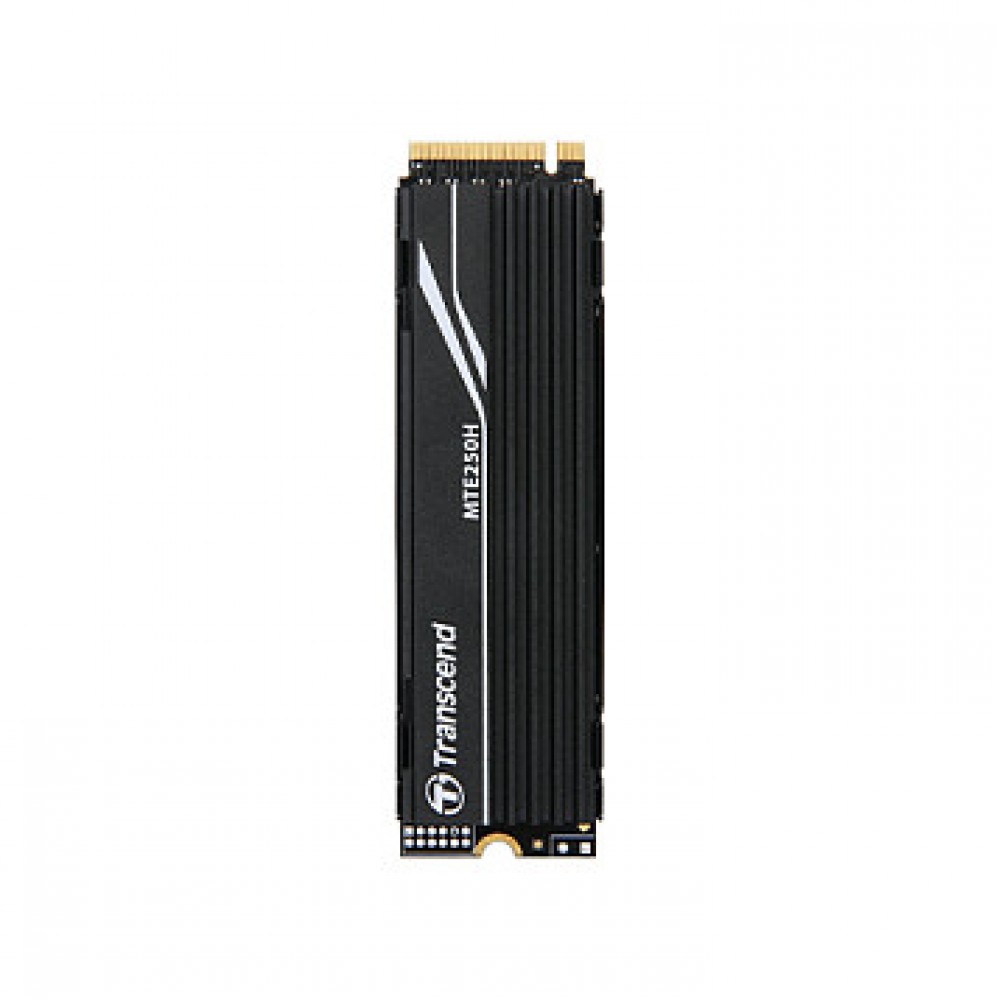Transcend MTE250H
