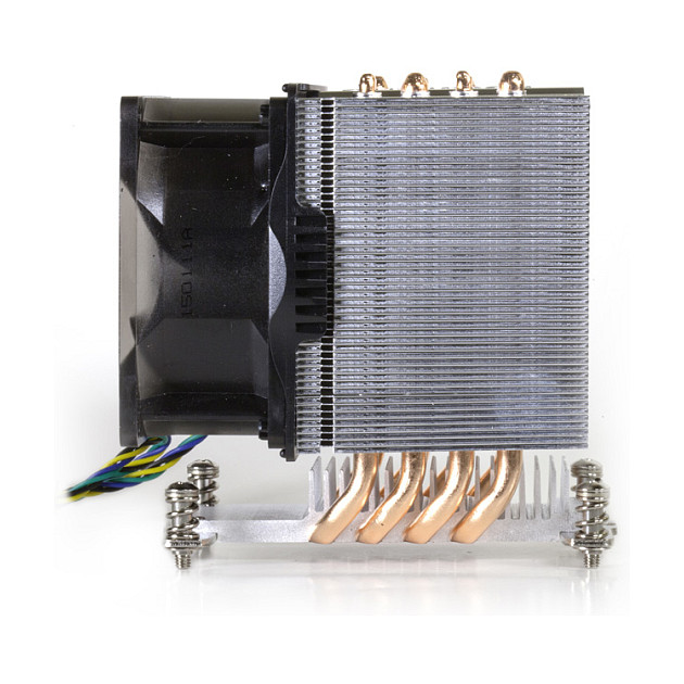 K Dynatron A19 (fr Server ab 3 Hheneinheiten, Workstations, 80 mm)