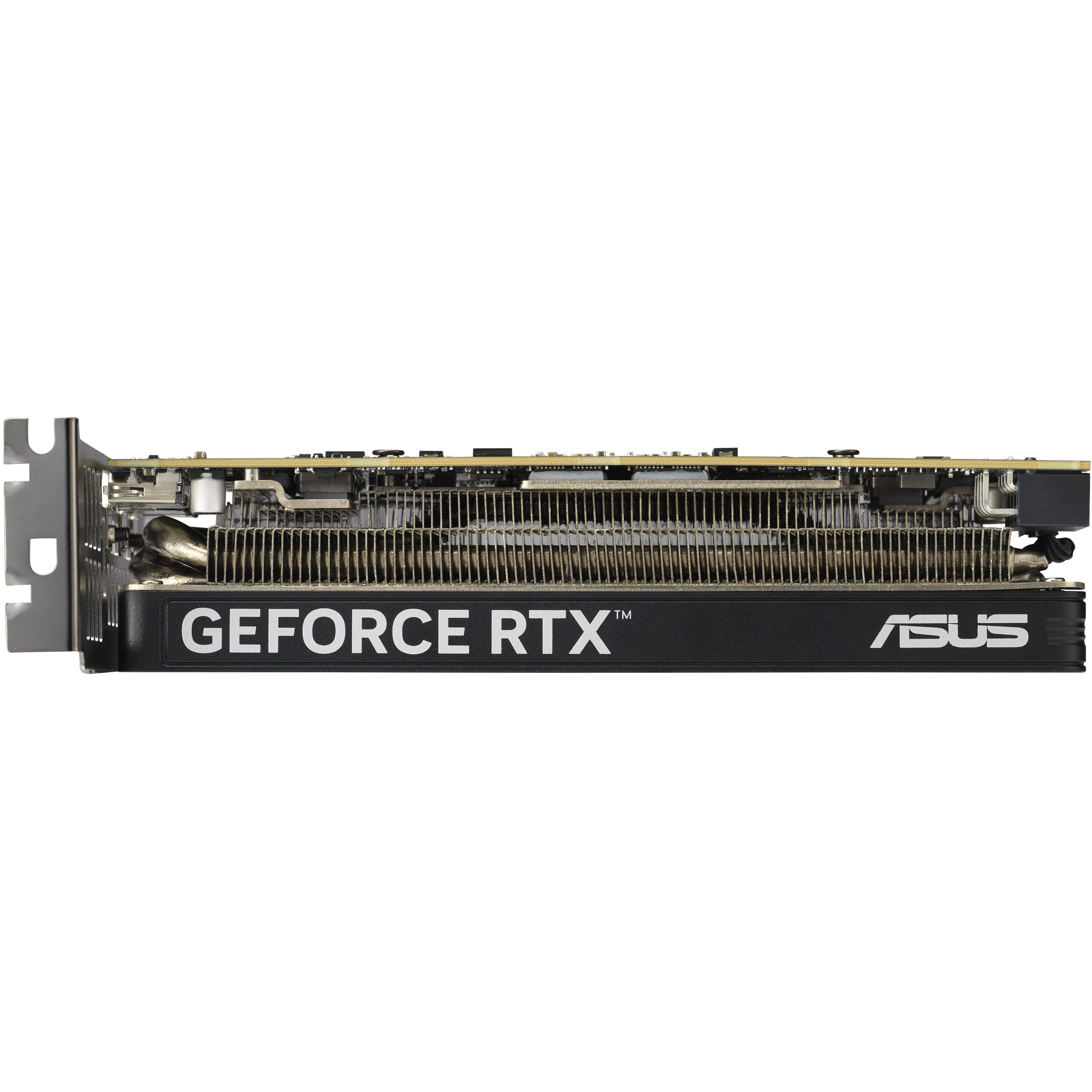RTX 5060 OC 8GB ASUS LP BRK GDDR7 2xHDMI 1xDP