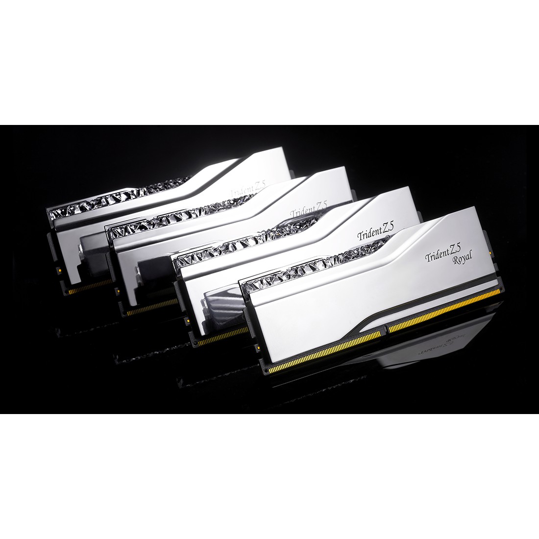 48GB PC 8400 CL40 G.Skill KIT (2x24GB) TR5S RGB Royal