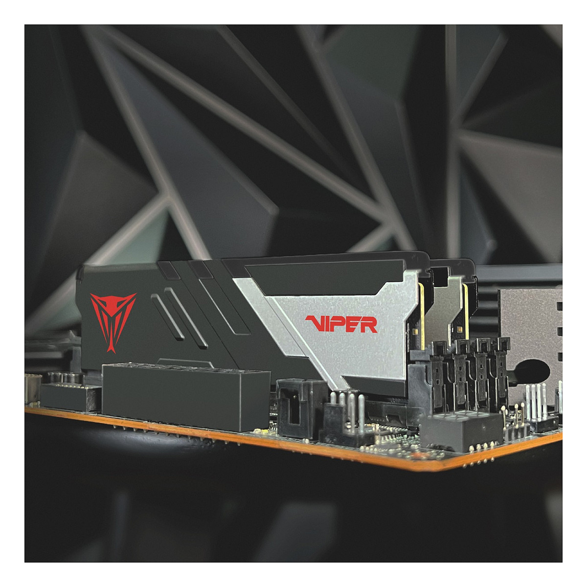 16 GB Patriot DIMM 5600 (2x 8 GB) Dual-Kit (black/wei, PVV516G560C40K, Viper Venom, INTEL XMP)