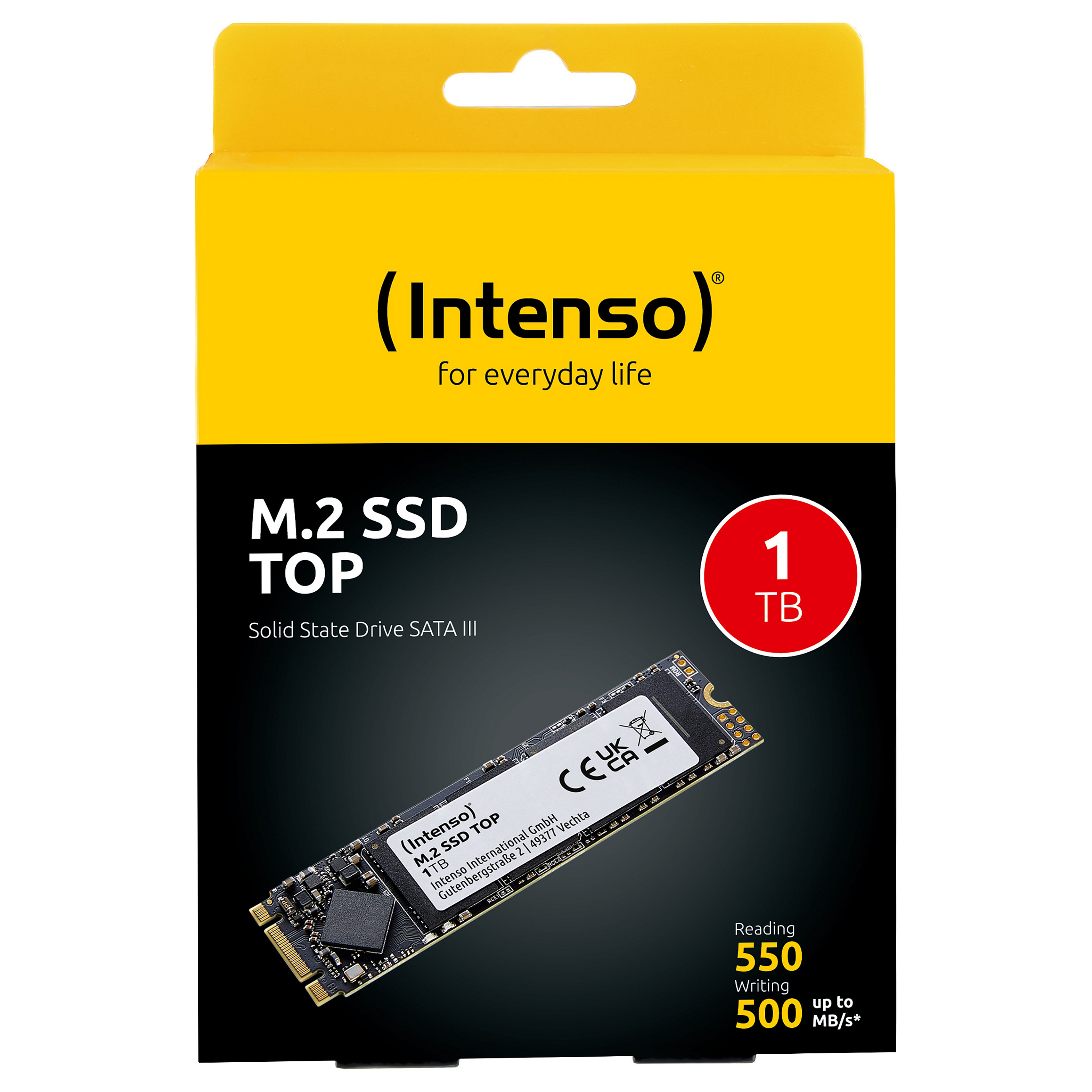 M.2 1TB Intenso Top Performance