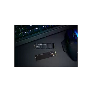 M.2 1TB WD Black SN850X NVMe PCIe 4.0 x 4 with Heatsink