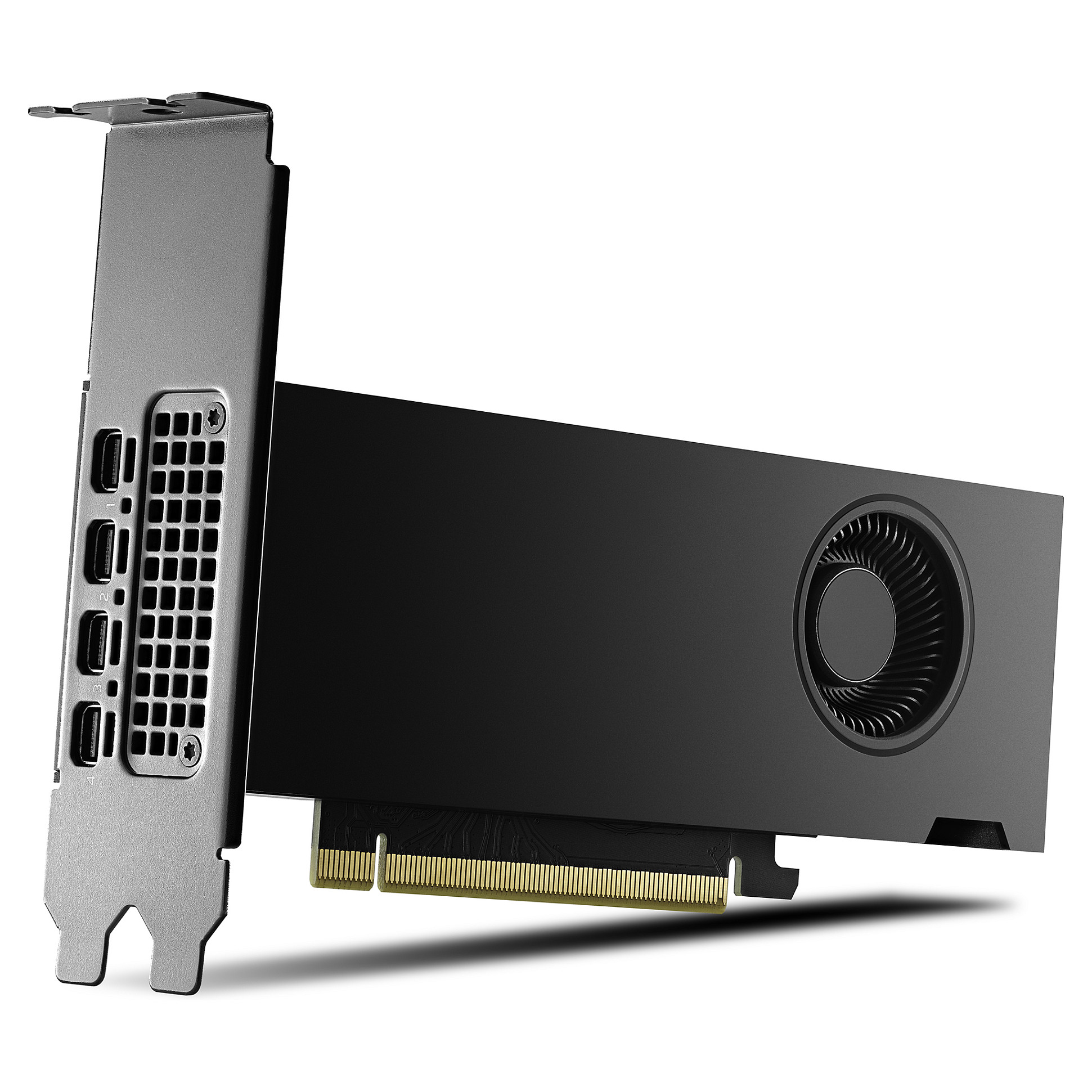 Quadro RTX 2000 ADA 16GB PNY (Small Box)