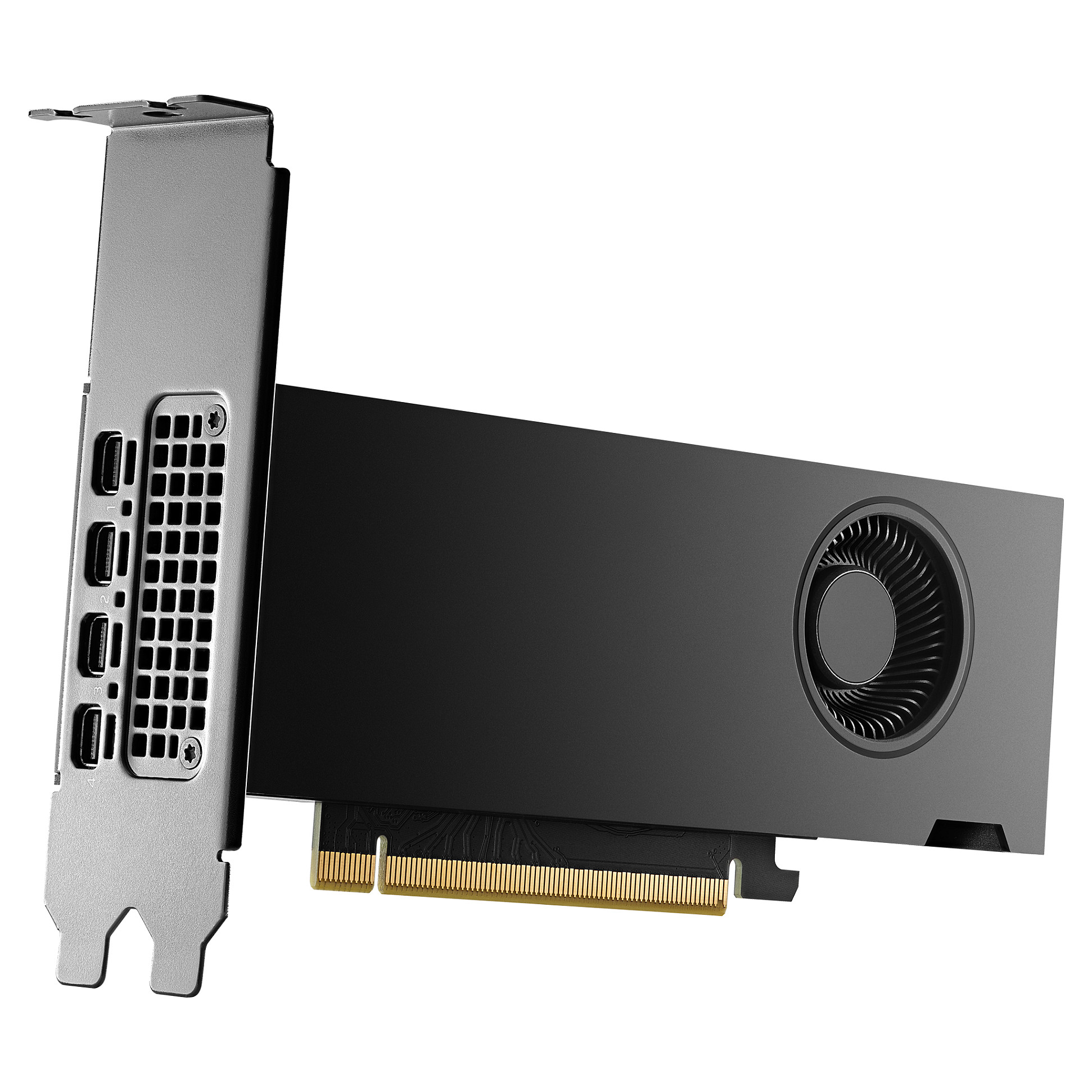 Quadro RTX 2000 ADA 16GB PNY (Small Box)
