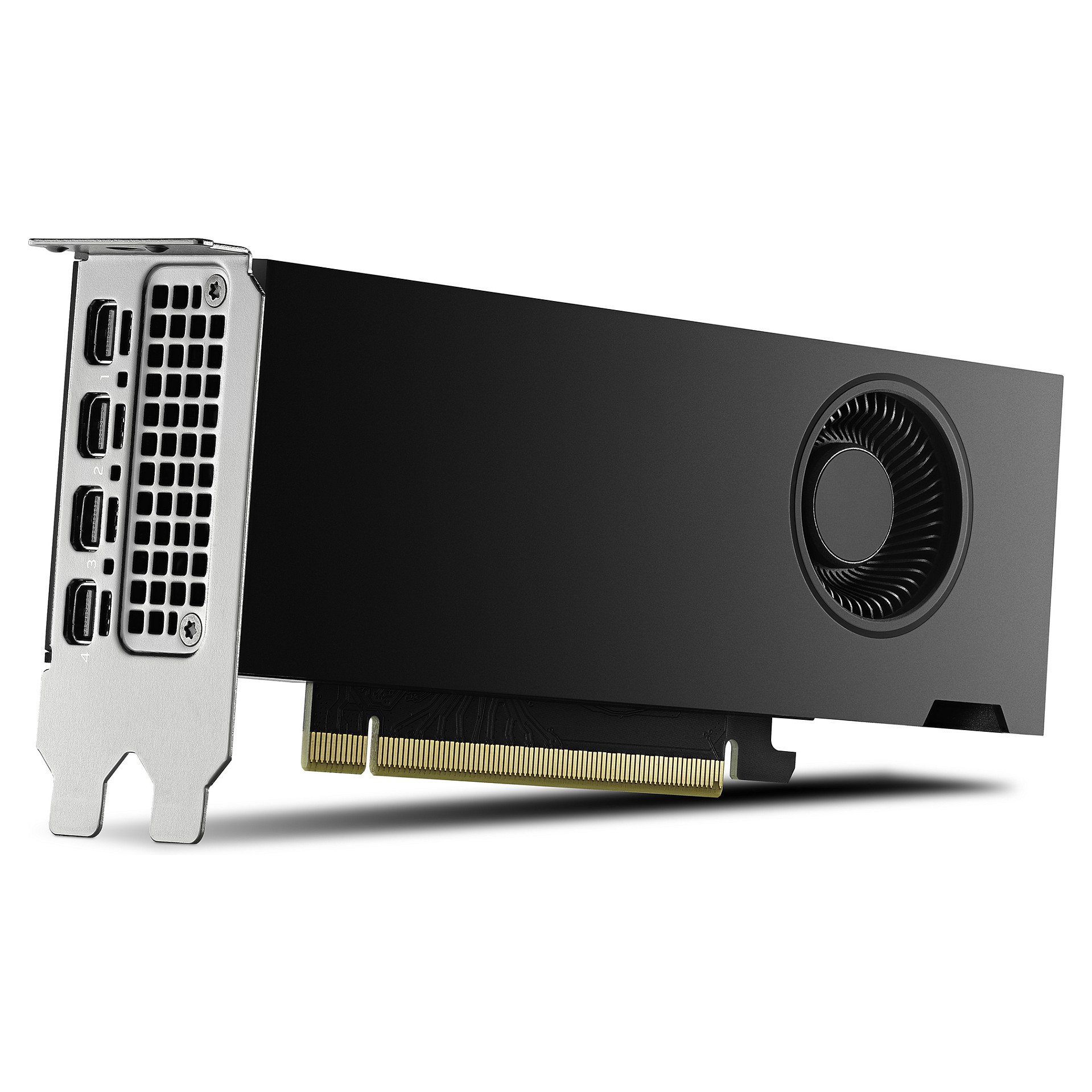 Quadro RTX 2000 ADA 16GB PNY (Small Box)