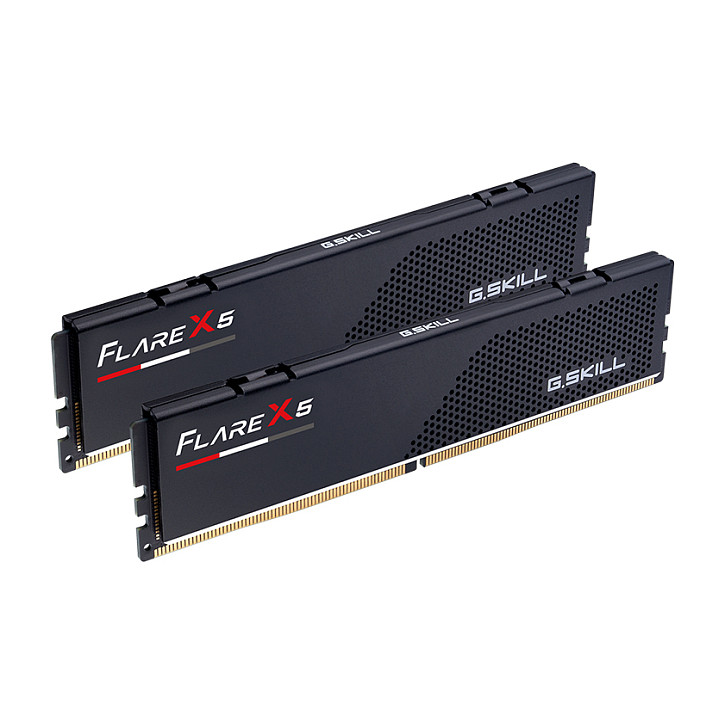 16GB G.Skill D516GB 5600-36 Flare X5 K2 GSK (schwarz, F5-5600J3636C8GH2-FX5, Flare X5)