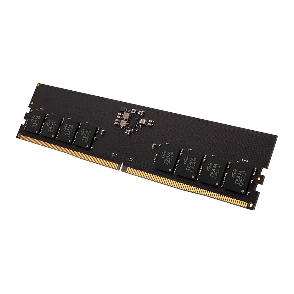 16GB Team Group RAM Team D5 6000 CL48 Elite (TED516G6000C4801)
