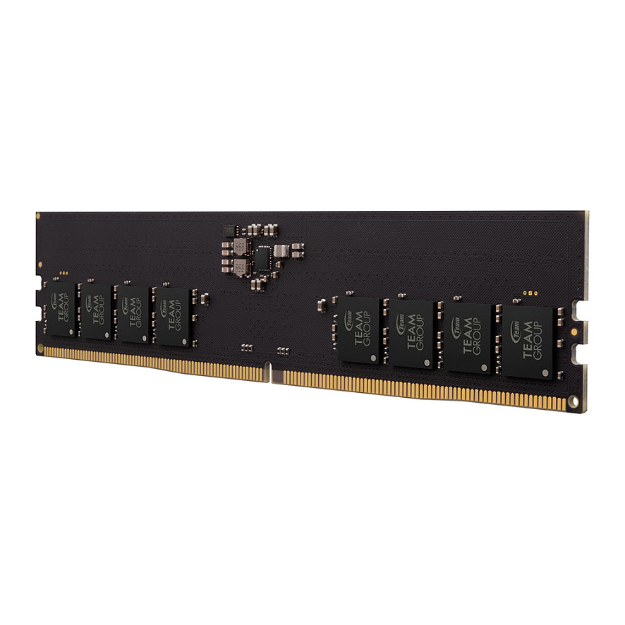 16GB Team Group RAM Team D5 6000 CL48 Elite (TED516G6000C4801)