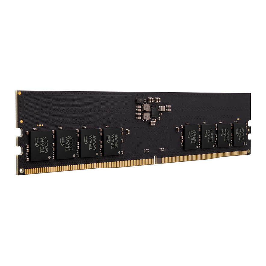 16GB Team Group RAM Team D5 6000 CL48 Elite (TED516G6000C4801)