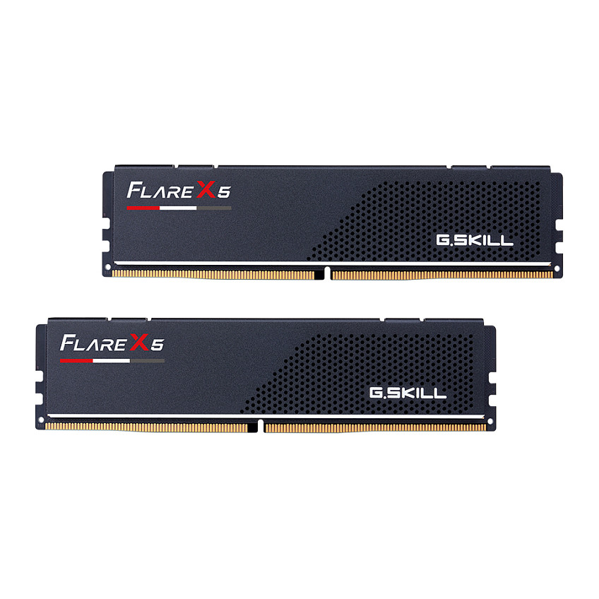 16GB G.Skill DIMM 6000 (2x 8 GB) Dual-Kit (schwarz, F5-6000J3038F8GH2-FX5, Flare X5)