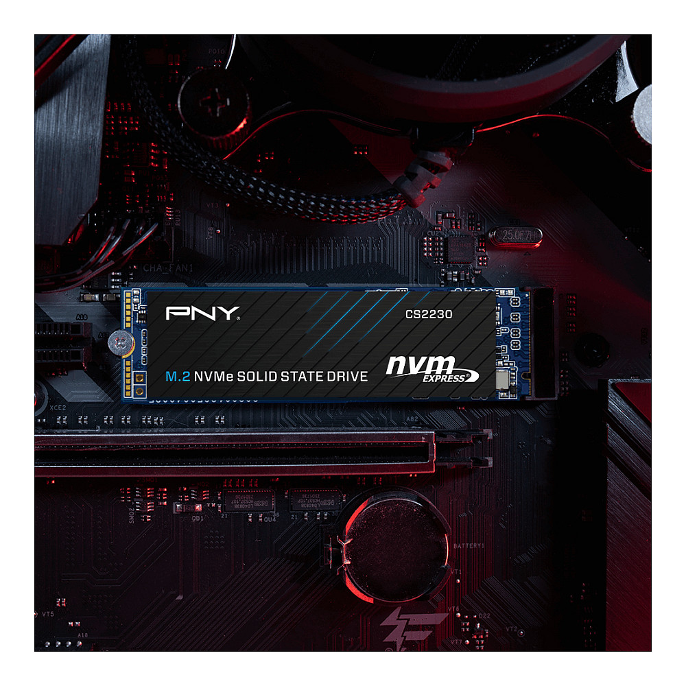 M.2 1TB PNY CS2230 M280CS2230-1TB-RB 0,307 DWPD M.2 2280 PCIe 3.0 x4 (NVMe) SSD 256bit AES