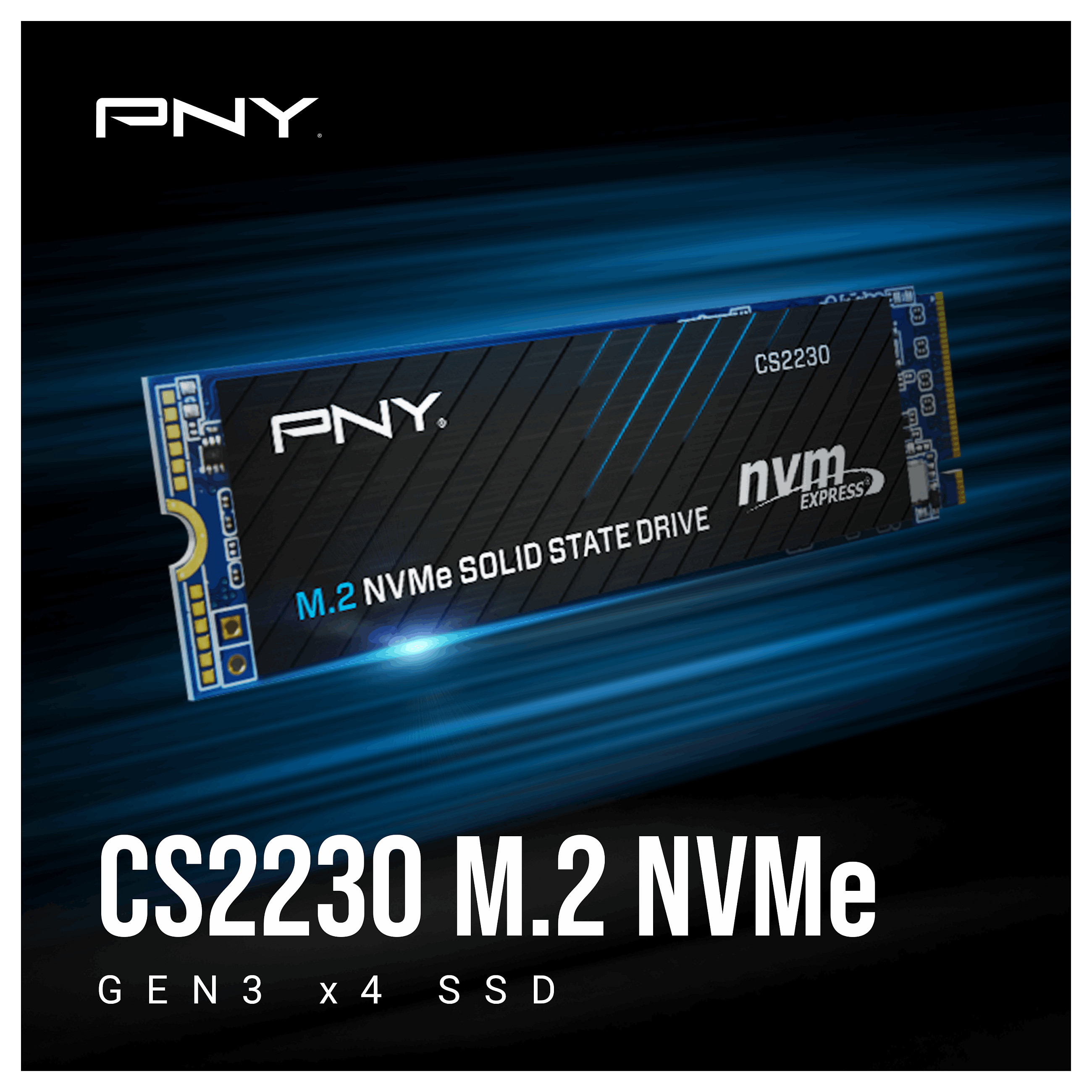 M.2 1TB PNY CS2230 M280CS2230-1TB-RB 0,307 DWPD M.2 2280 PCIe 3.0 x4 (NVMe) SSD 256bit AES