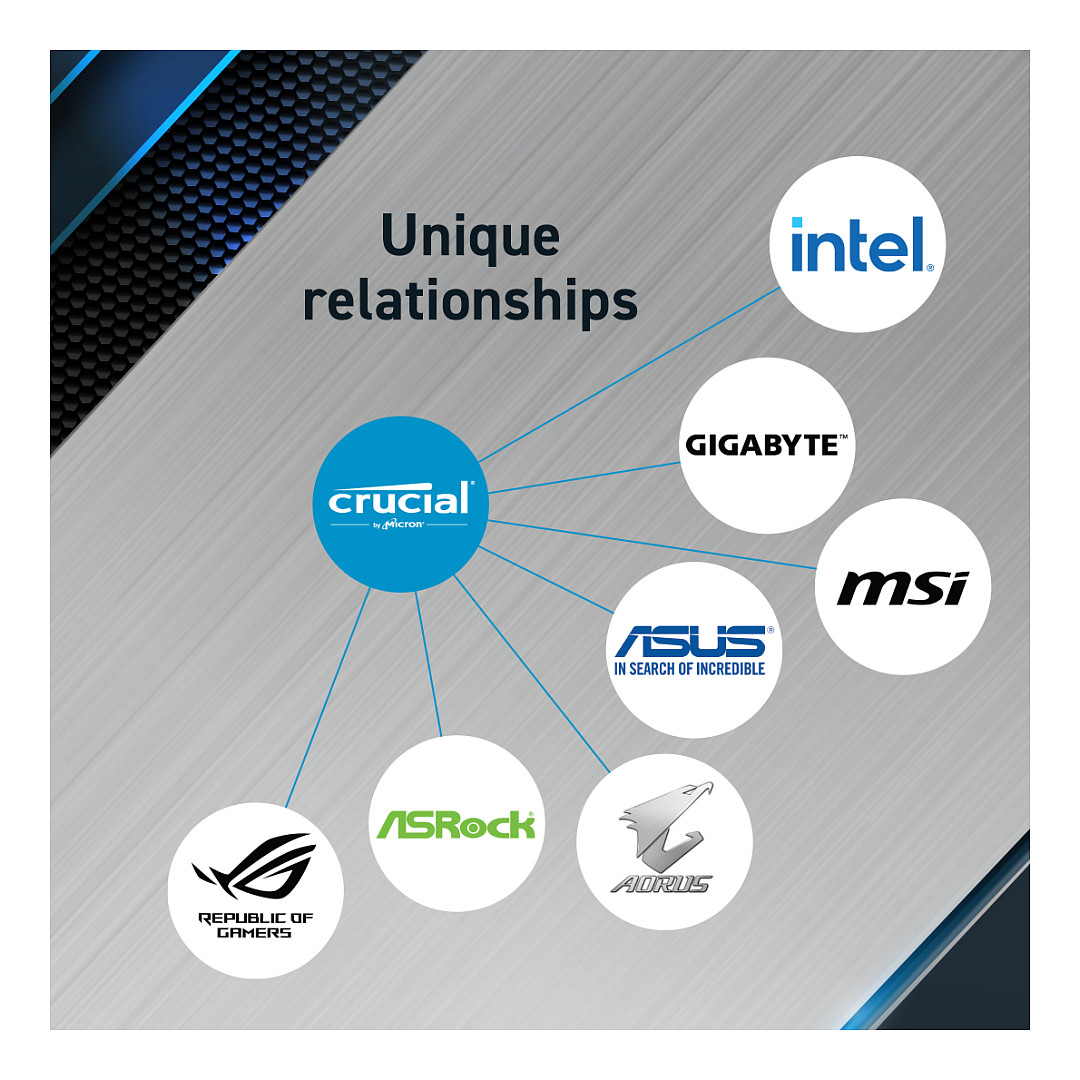24GB Crucial Pro Modul DIMM 288-PIN Low Profile