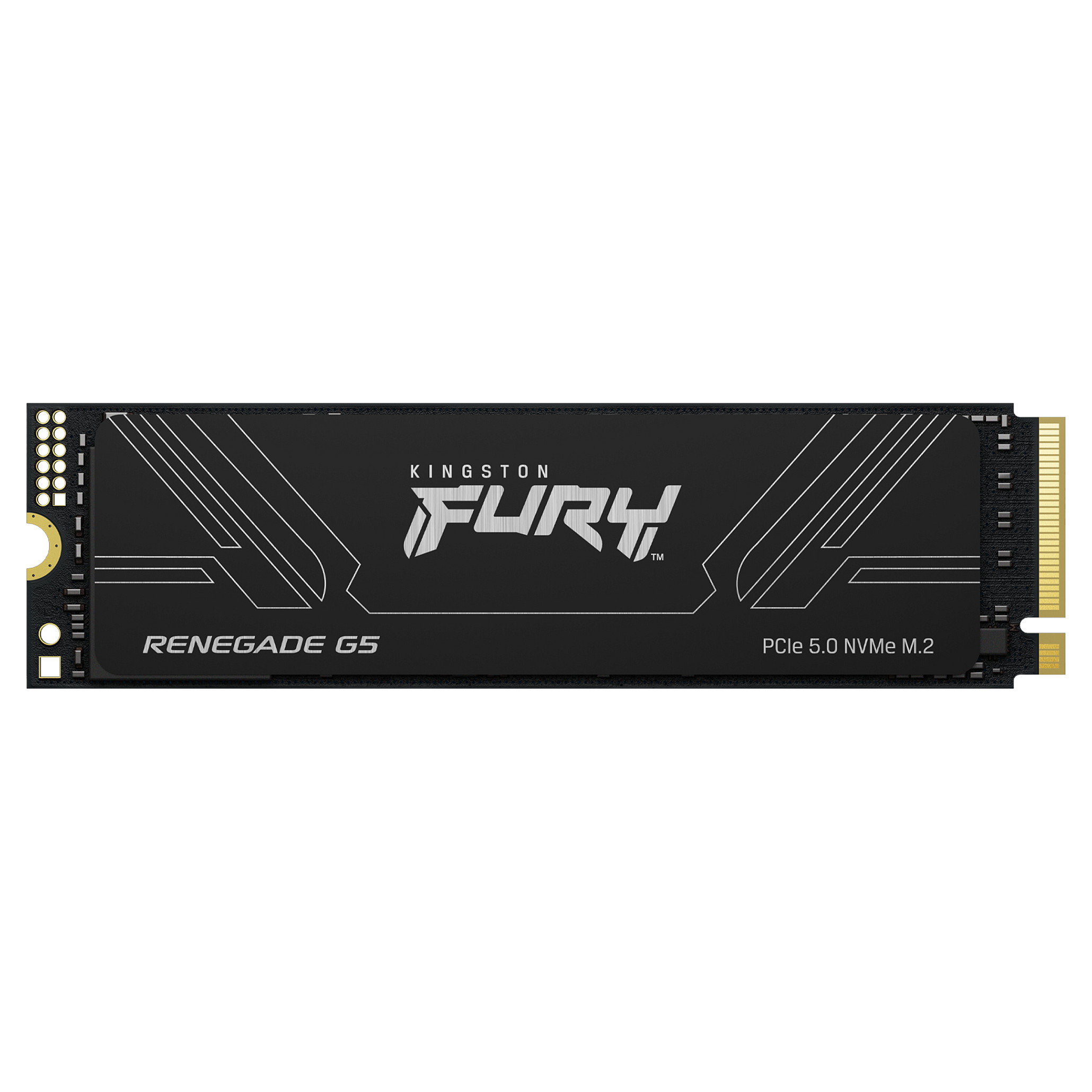 M.2 4TB FURY RENEGADE G5 2280
