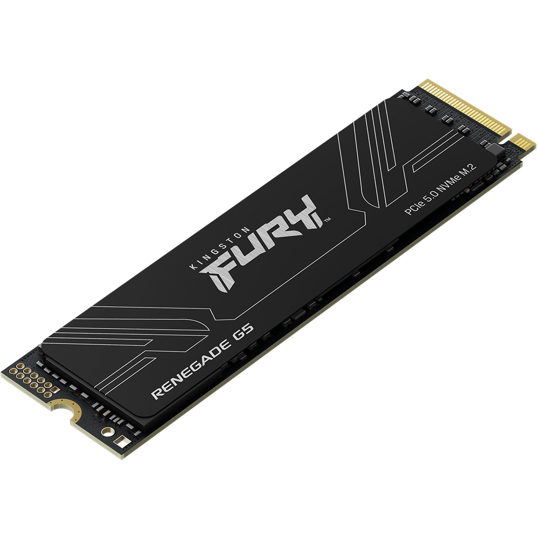 M.2 2TB FURY RENEGADE G5 2280