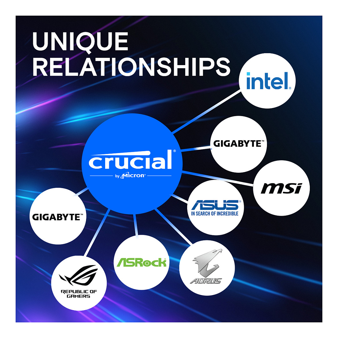 16 GB Crucial Pro Modul - DIMM 288-PIN Low Profile - 6000 MHz / PC5-48000 - CL48 - 1.1 V - ungepuffert - on-die ECC - mattschwarz