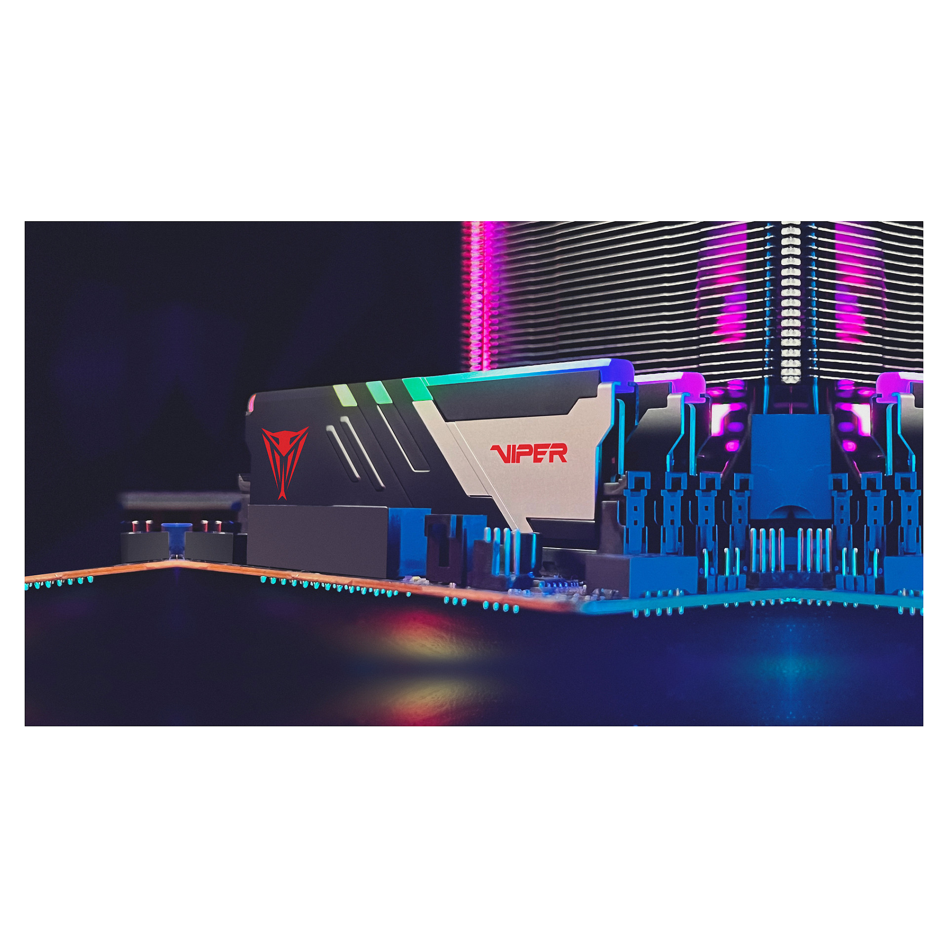 32 GB Patriot DIMM 6000 (2x 16 GB) Dual-Kit (schwarz, PVVR532G600C30K, Viper Venom RGB, INTEL XMP, AMD EXPO)