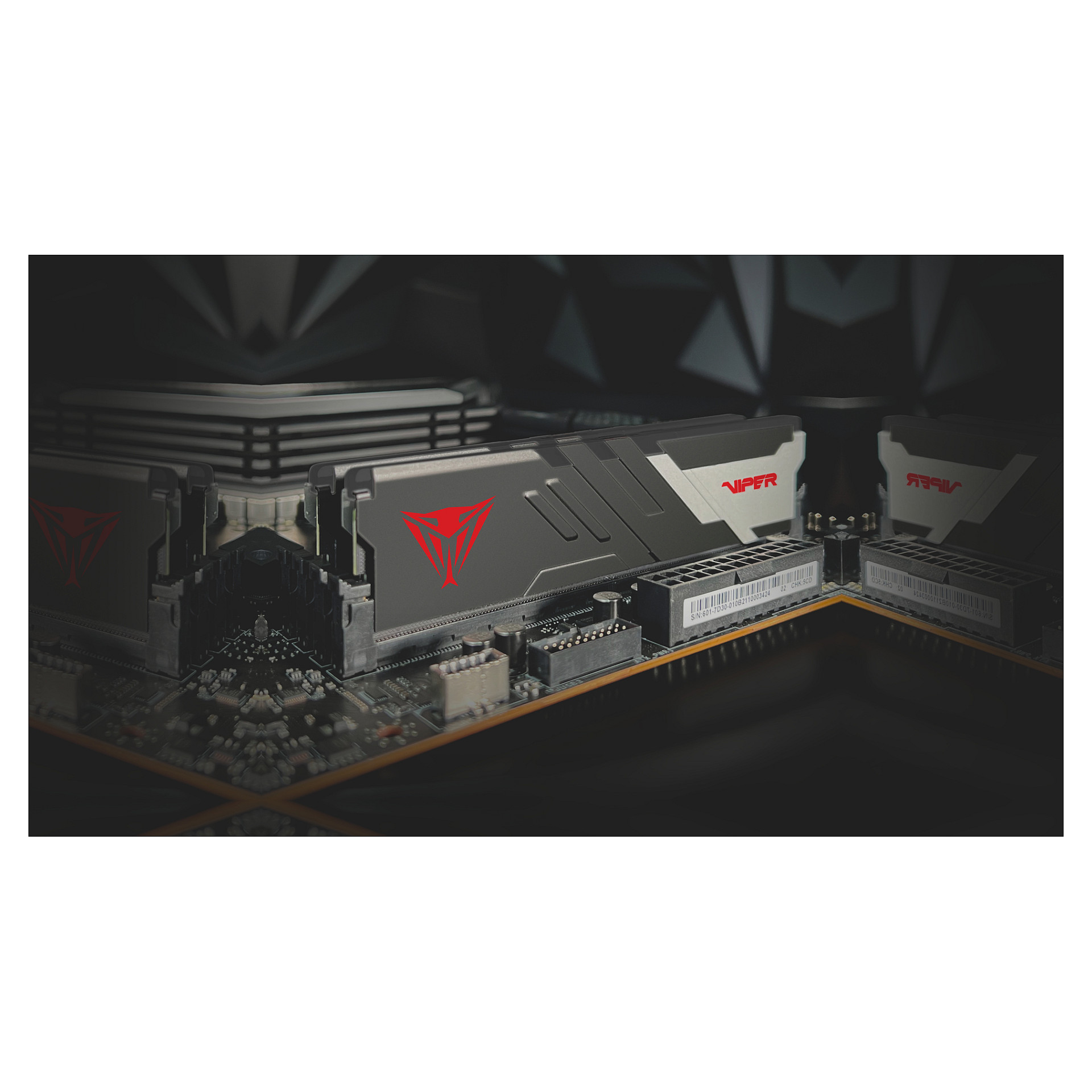 32 GB Patriot DIMM 6000 (2x 16 GB) Dual-Kit (schwarz, PVVR532G600C30K, Viper Venom RGB, INTEL XMP, AMD EXPO)