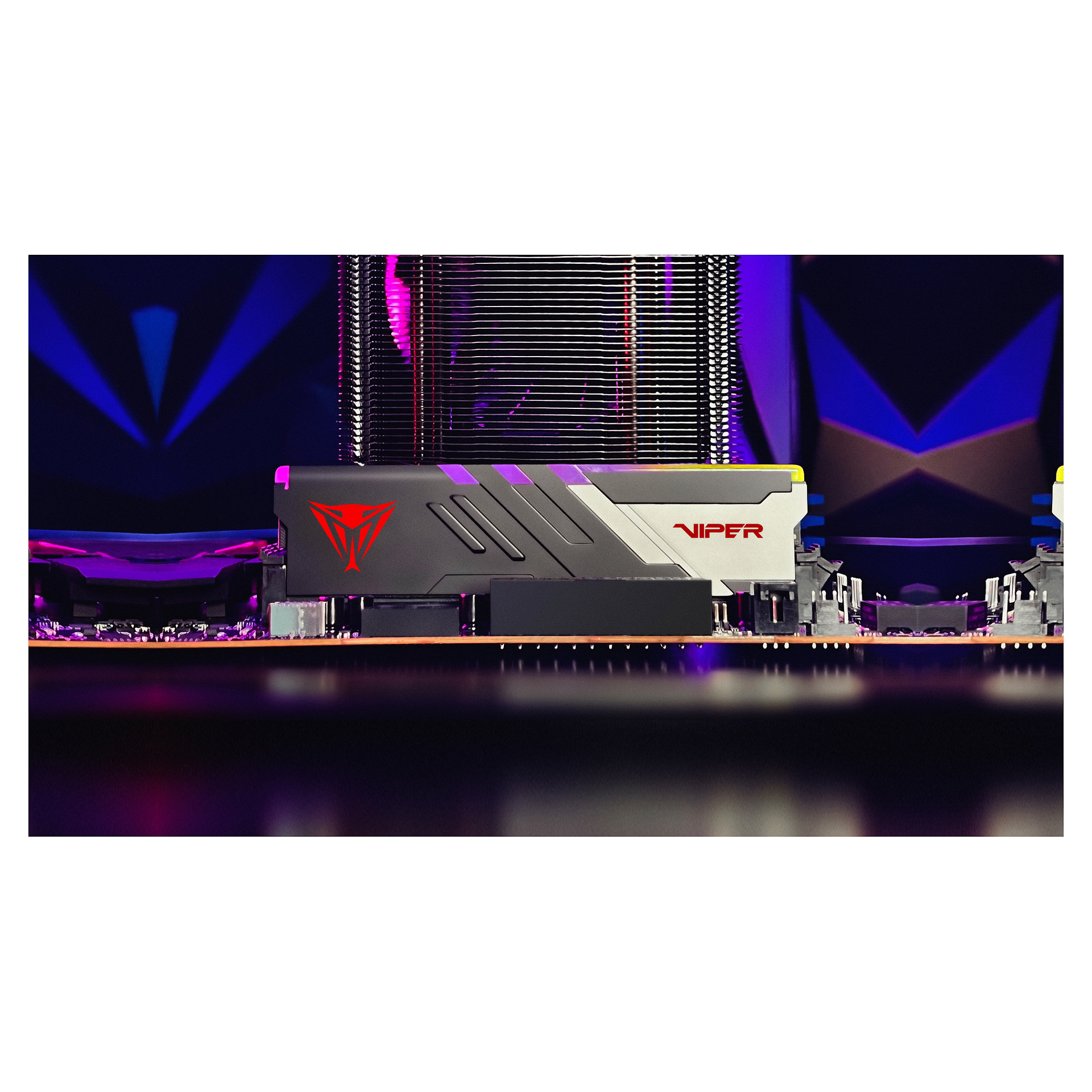 32 GB Patriot DIMM 6000 (2x 16 GB) Dual-Kit (schwarz, PVVR532G600C30K, Viper Venom RGB, INTEL XMP, AMD EXPO)