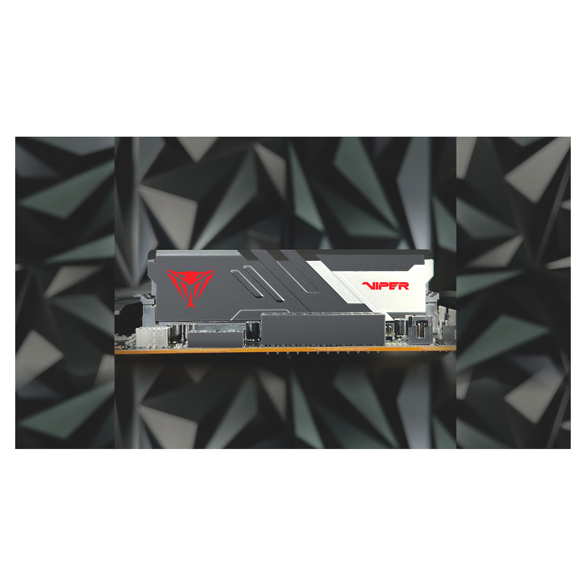 32 GB Patriot DIMM 6000 (2x 16 GB) Dual-Kit (schwarz, PVVR532G600C30K, Viper Venom RGB, INTEL XMP, AMD EXPO)
