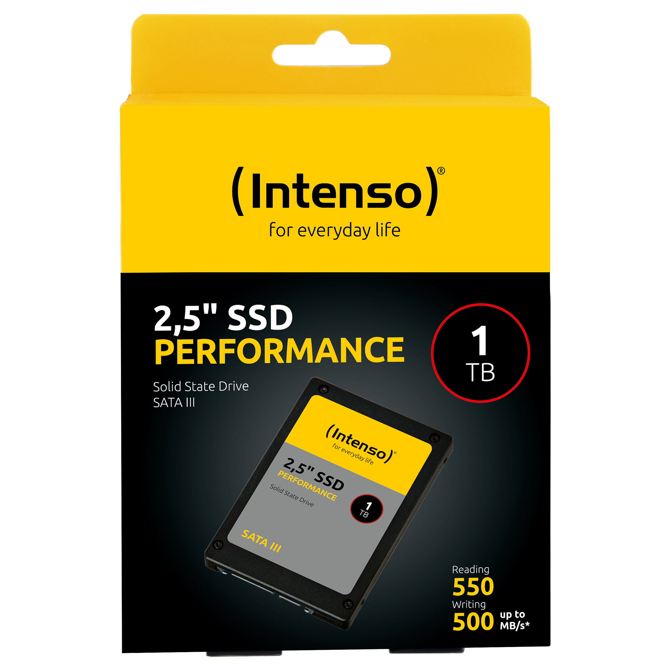 Intenso Performance 1TB (3814460)