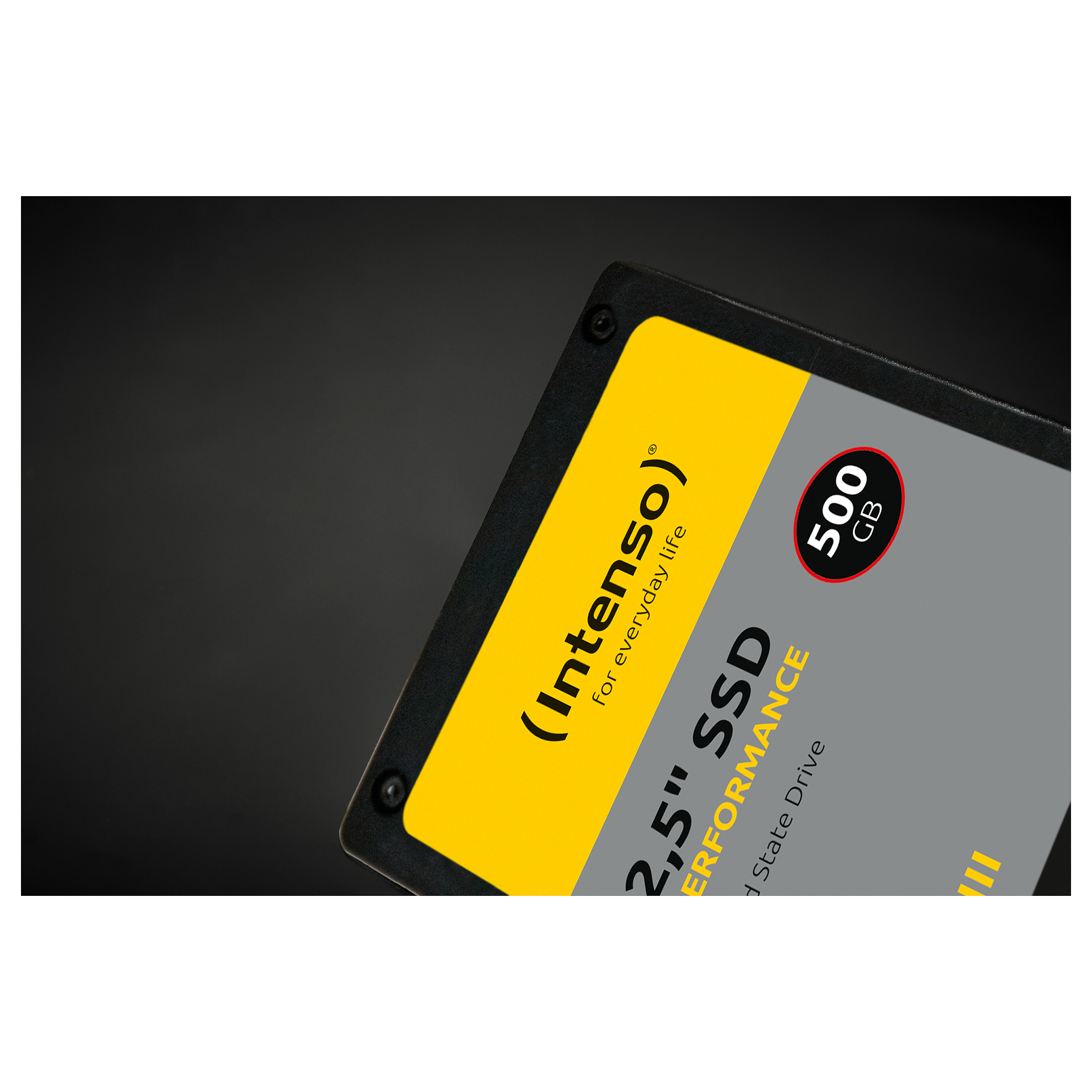 Intenso Performance 1TB (3814460)