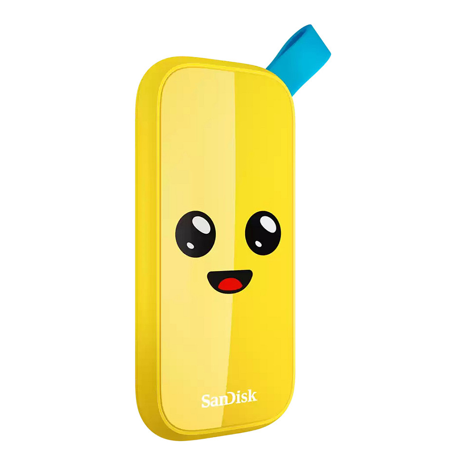 1TB SanDisk USB 3.2 Read speed 800 MBytes/sec SDSSDE30-1T00-G25F