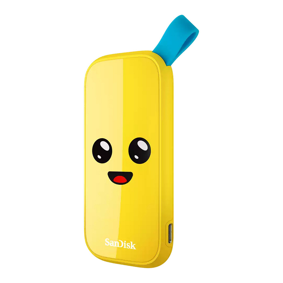 1TB SanDisk USB 3.2 Read speed 800 MBytes/sec SDSSDE30-1T00-G25F