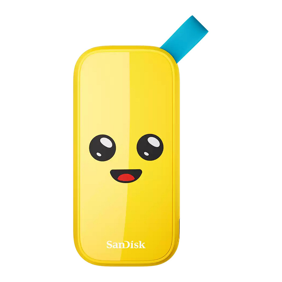1TB SanDisk USB 3.2 Read speed 800 MBytes/sec SDSSDE30-1T00-G25F