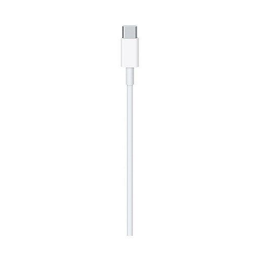 Apple USB-C Ladekabel 2M MLL82ZM/A Retail