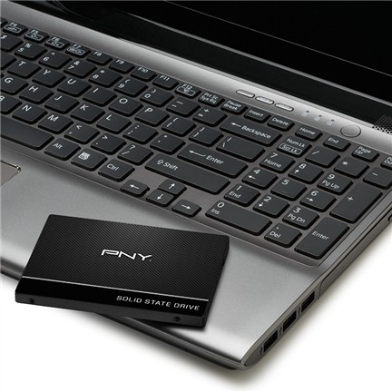 PNY CS900 250GB 6,35cm 2,5Zoll SSD SATA-III