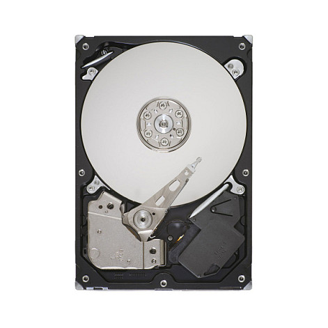 320GB Seagate SATA-II ST3320311CS