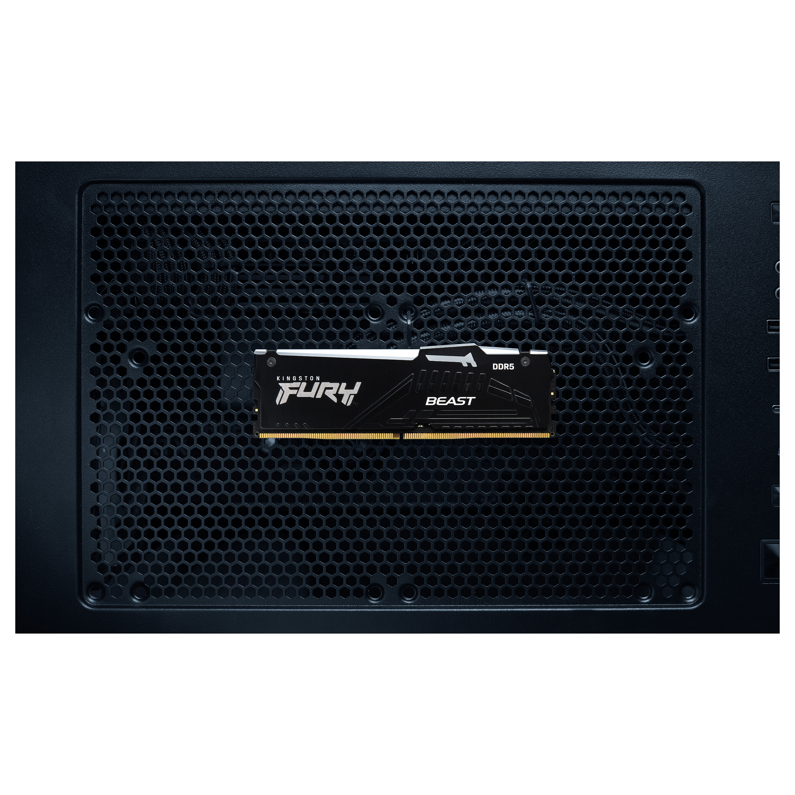 KINGSTON 8GB 6000MT/s DDR5 CL36 DIMM FURY Beast RGB EXPO